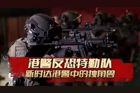 港警的反恐特勤队，新时代港警中的独角兽