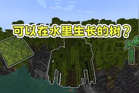 我的世界：这树还能种在水里？1.19新生物群系：红树