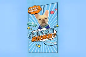 宠物奢侈品项圈评测(一）  Tiffany篇视频封面