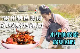 河里抓到好多人看到都怕的水蜈蚣，用腊肉来炒最香，贵州人最爱吃