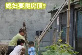 干活从娃娃抓起：农村孩子帮着妈妈摘丝瓜，勤劳懂事看着就暖心视频封面