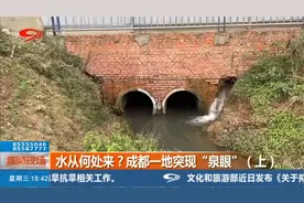 来看一件怪事，成都一地突现“泉眼”，水到底从何处来？