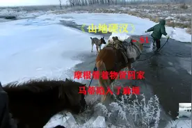 山地硬汉81：带着物资回家，传授捕捉海狸的方法「纪录片」视频封面