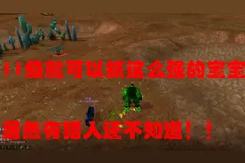 魔兽世界怀旧服：小号猎人来抓这两个精宝宝，前期刷怪升级无压力