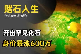 罕见赌石一刀富上天，切出稀有化石，一夜之间身价暴涨600万！视频封面