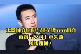 王微抛弃原配与演员谭元元相恋，离婚后公司上市失败，现状如何？