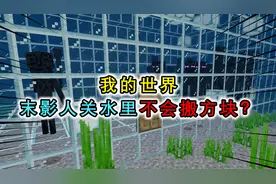 我的世界：末影人不会搬方块了？把末影人关在水里，失去传送能力