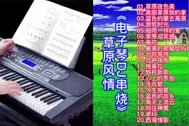 草原风情：动感劲爆电子琴DJ草原歌曲20首串烧，好听