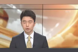 深受喜爱犬种被禁止！挪威奥斯陆地方法院判决：禁止繁育两种犬只视频封面