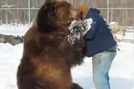 十年前因故离开棕熊，如今再见面，棕熊竟一眼认出男子视频封面
