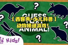 【西客秀-少儿科普】动物猜谜游戏