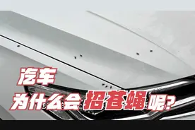 汽车为什么会招苍蝇？