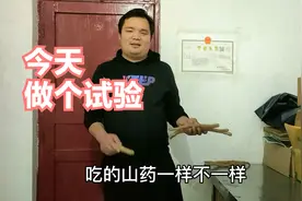 正宗温县垆土地铁棍山药和普通山药有什么区别贝爸现场做实验。