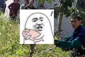 30斤缅甸蟒出没广东一村庄，吓坏村民：从来没见过这么大的蛇视频封面