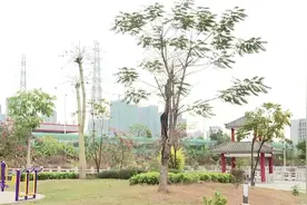 湖涌村紫洞村入选市第三批乡村振兴示范村创建单位名单视频封面