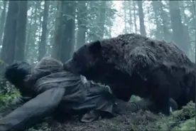 惨不忍睹！！人熊大战一触即发。小李子被棕熊蹂躏惨了视频封面