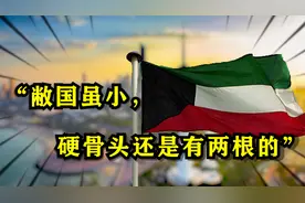 科威特战争：还不起债，那就吞并债主视频封面