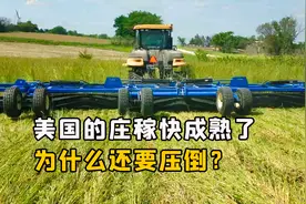 美国人开拖拉机压倒庄稼，不怕把庄稼压死吗？把庄稼压倒有啥用？视频封面