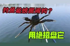 钓鱼被螃蟹闹钩！老钓友直接用绝招盘它，看完又学一招钓鱼技巧视频封面