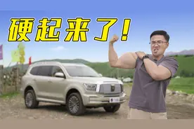 坦克500：谁更适合买？