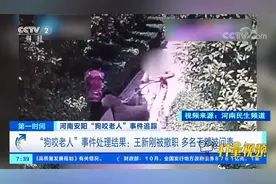 “狗咬老人”事件落幕：王新刚被撤职，多名干部被问责|第一时间视频封面