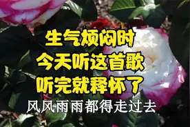 当你生气，烦闷的时候，就听听这首歌，听完什么都释怀了！