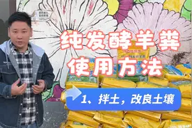 纯发酵羊粪怎么用？使用方法教你给你