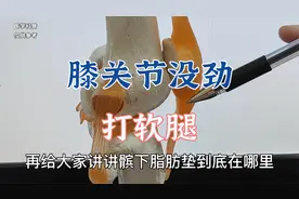患者膝关节没劲，打软腿是什么原因？肖教授细致讲解髌下脂肪垫炎视频封面
