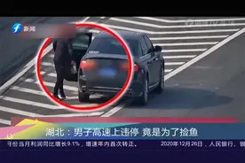 湖北：高速路上车辆侧翻，3人爬出车辆捡猪肉视频封面