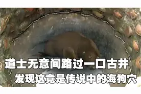 道士无意间路过一口古井，发现这竟是千年难得一见的海狗穴视频封面