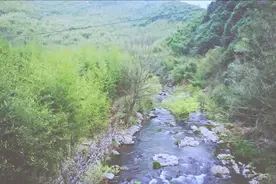 城市房价太贵，小伙返乡包下100亩山头建民宿，客人排着队来住！