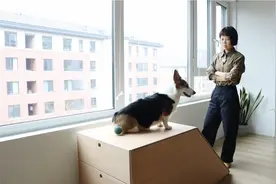 人不如狗系列视频封面