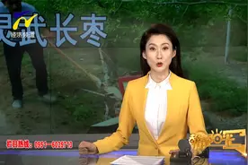 【阳光农业】李志明：“灵武长枣”种出红火日子