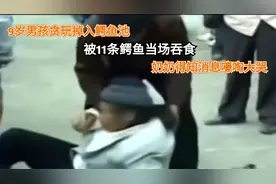 男孩贪玩掉入鳄鱼池，当场被11只鳄鱼吞食，报案后带头鳄鱼被击毙