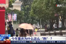 专家分析 今年重庆为什么这么“热”？