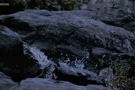 你一定要站在自己所热爱的世界里，闪闪发亮。视频封面