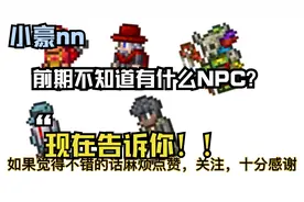 【泰拉瑞亚】前期NPC介绍大全以及入住条件
