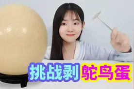 挑战剥巨无霸鸵鸟蛋，一颗相当于30个鸡蛋，最后能不能成功？视频封面