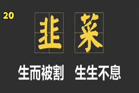 【转自启蒙小赵老师】玩转高控盘股票，长线股票投资的核心思路视频封面