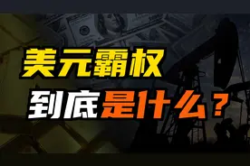 什么是黄金美元？美元又为何要与石油挂钩？美元霸权地位的由来视频封面