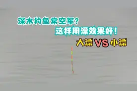 深水钓鱼用对浮漂钓的多，大漂小漂怎么选，这样用漂灵敏中鱼率高视频封面