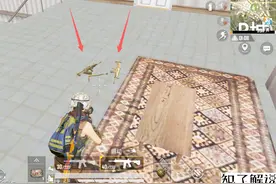 知了解说：P城的这座房子太好了，在这里捡到两把M416步枪！