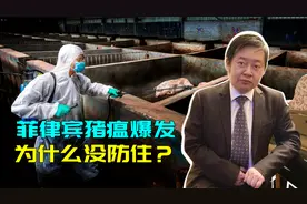 与菲律宾相比，中国离非洲更近，菲律宾为什么没能防住非洲猪瘟？视频封面