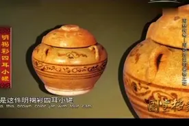 国宝档案：海丝传奇之宋元雷州瓷，海边开出的瓷器之花视频封面