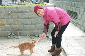 老妈喂野猫被咬,心疼钱不肯打狂犬疫苗,儿樊医生说:要钱还是要命