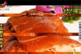 莱茵鹅产蛋多肉质好，优点非常多还有一定观赏性，很适合人工养殖