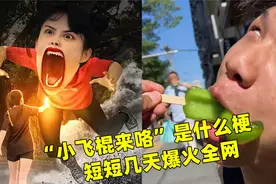 “小飞棍来咯”是什么梗，短短几天爆火全网，太洗脑了