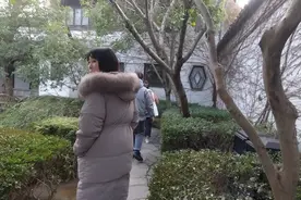 苏州木渎终极大BOSS严家的羡园，内部就像迷宫，方向感不好会迷路视频封面