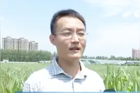 持续的高温对玉米的生长有较大的影响，应采取什么措施来解决呢？