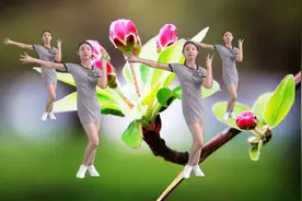 恰恰情歌《高山青》《草原上美丽的姑娘》《蝴蝶爱花朵》